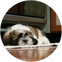 Claudiu Cuc Claudiu Cuc